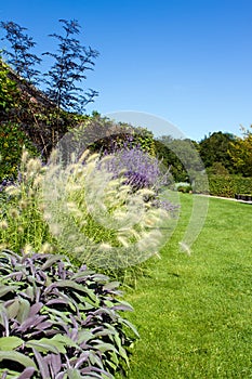 Path leading througn an english country garden