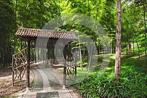 Path leading to bamboo forest on Tiger Hill Hu Qiu in Suzhou, Jiangsu, China