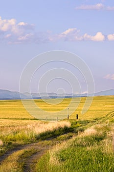 Path Leading to a Field in Montana