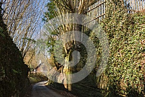 Path leading to Karba village in czech turist region Machuv kraj