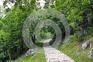 Path leading to Oxia Viewpoint in the national park of Vikos-Aoos in Greece