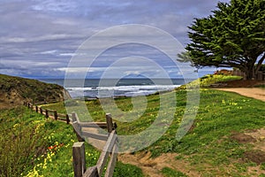 Path leading to the Pacific Ocean in Northern California over a hill with spring flowers, Moss Beach near San Francisco