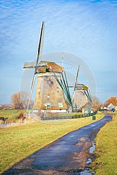 Path leading to traditional Dutch windmills