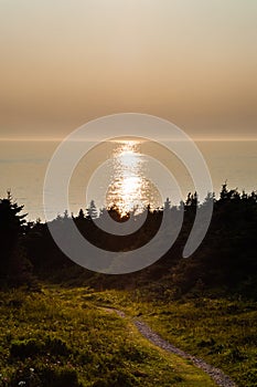 Path leading towards sunlight reflected in water under hazy horizon