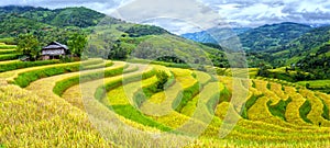 The path leads down the hill terraces