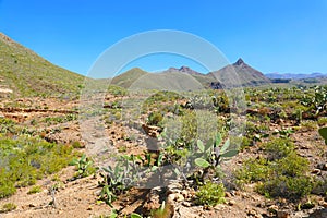 Path that leads to Roque del Conde mount on Macizo de Adeje mountain range in Tenerife, Spain photo