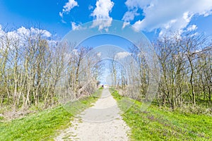 Path on a levee at the Baltic Sea