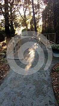 Path of life, majuestueux landscape, colors of autumn, trees, stroll along the forests. White sky. Landscape in La Baule