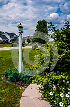 Path and lightpost in garden