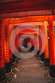 a path lined with tall red torinom gates with writing on them
