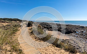 Wooden path of the littoral photo