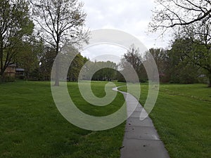The path long walk woods grass