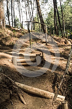 Path made of bamboo arranged in mountain forest