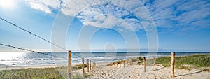 A path with many tracks, delimited by wooden posts on the sand dune with wild grass and beach in Noordwijk on the North Sea in