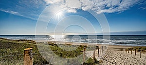 A path with many tracks, delimited by wooden posts on the sand dune with wild grass and beach in Noordwijk on the North Sea in