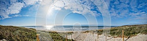 A path with many tracks, delimited by wooden posts on the sand dune with wild grass and beach in Noordwijk on the North Sea in