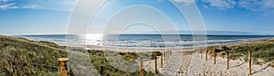 A path with many tracks, delimited by wooden posts on the sand dune with wild grass and beach in Noordwijk on the North Sea in