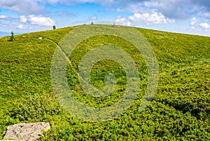 Path through a meadow on mountain ridge
