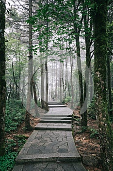 Path on Mingyue Mountain, Jiangxi, China