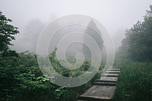 Path on Mingyue Mountain, Jiangxi, China