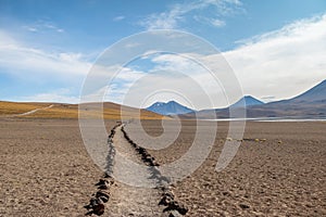 Path on Miniques and Miscanti Lagoon area - Atacama Desert, Chile
