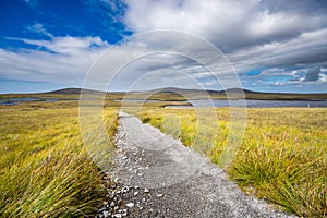 Path through the moor on a sunny day