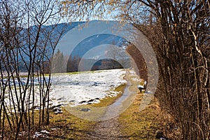 Path at moorlands Murnauer Moos, early springtime
