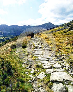 Path in the mouintains