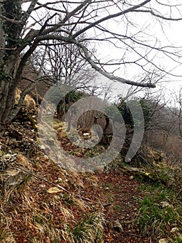 Path in the mountain