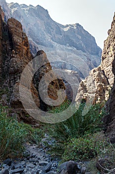 The path in the mountain gorge