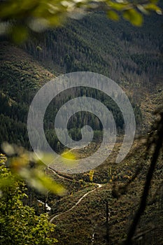 path in a mountain valley, fabulous view