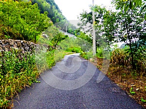 Path in mountains