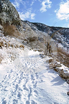 The path in the mountains on a winter day