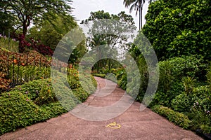 Path in the National Orchid Garden, Botanical Gardens, SIngapore