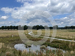 Path through the National Park Drents-Friese Wold