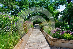 Path with Native Plants at a Downtown Chicago Park during Summer