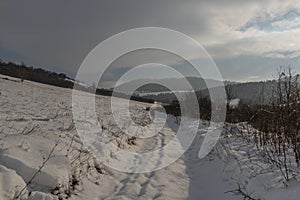 Path near Dubovica village in east Slovakia in snow frosty morning