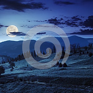 Path near field with haystacks at night