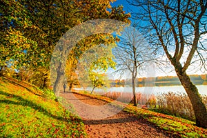 Path near lake in fall season