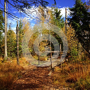 Path near Tanner Moor