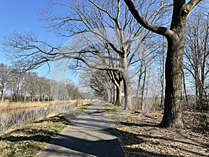 Path next to the Apeldoorns canal