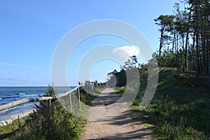 Path next to the forest running along the Baltic sea coast. Wladyslawowo/Karwia, Poland