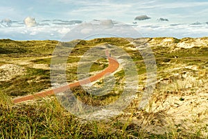 A path in the North Holland dune reserve near Bergen, Netherlands. A person with a bike on the path