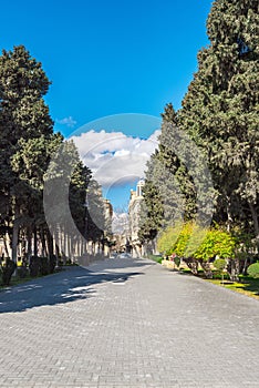 Path of old cypresses in National Seaside park in Baku city