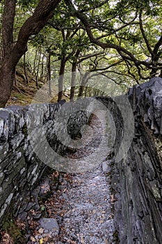 Path in old slate quarry near Llyn Peris, Snowdonia, Wales, UK