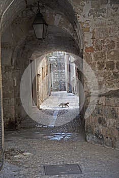 Path in the old town of Dubrovnik, Croatia