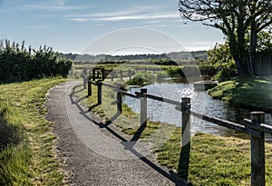 Path in the Olonne swamp