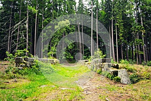 Path over stone bridge in forest, exploration travel adventure concept