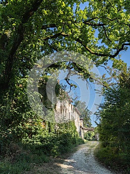 Path Through Overgrown Ancient Buildings in Collecchio, Parma - Italy