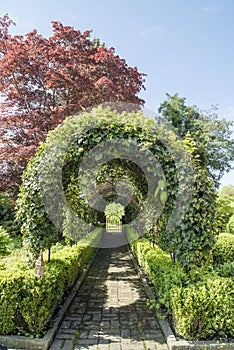 Path with overgrown arches